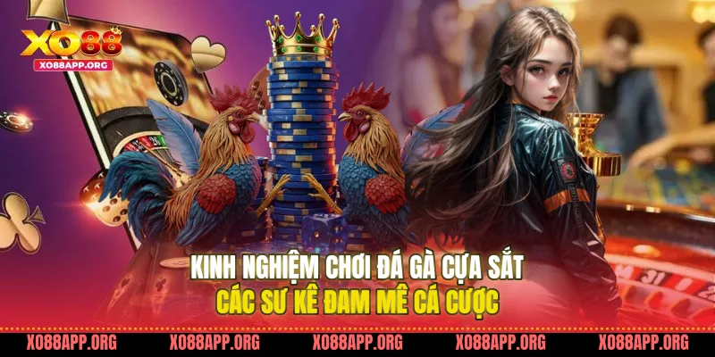 Kinh Nghiệm Chơi Đá Gà Cựa Sắt