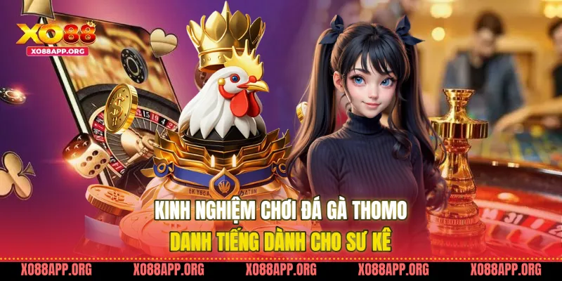 Kinh Nghiệm Chơi Đá Gà Thomo
